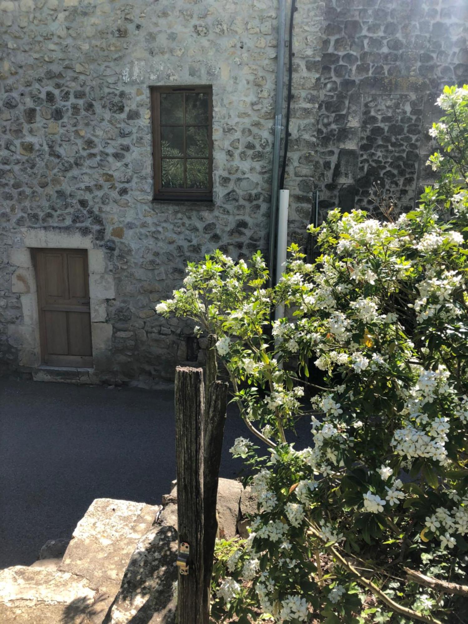 Gite Des Pins Saint-Maurice-dʼIbie Eksteriør bilde